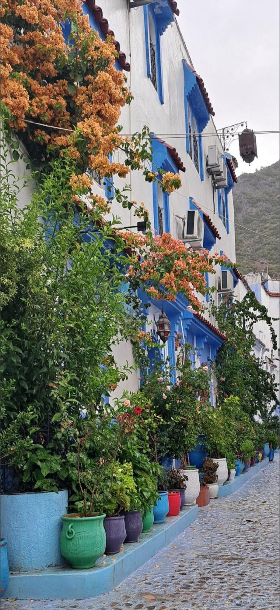 Dar Yakout Hotel Чефчауен Екстериор снимка